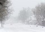 Groundhog Day 2011 Storm_05449